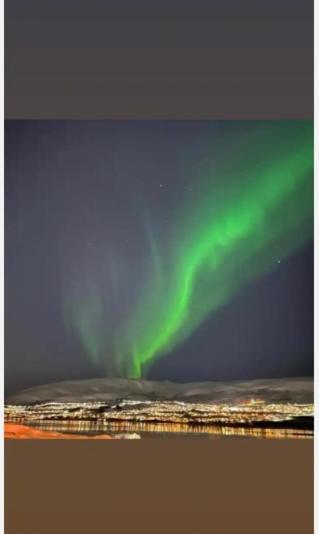 Rom Sentralt I Tromso Appartement Buitenkant foto