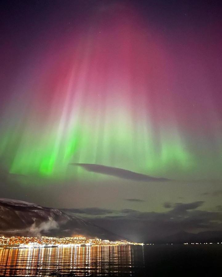 Rom Sentralt I Tromso Appartement Buitenkant foto