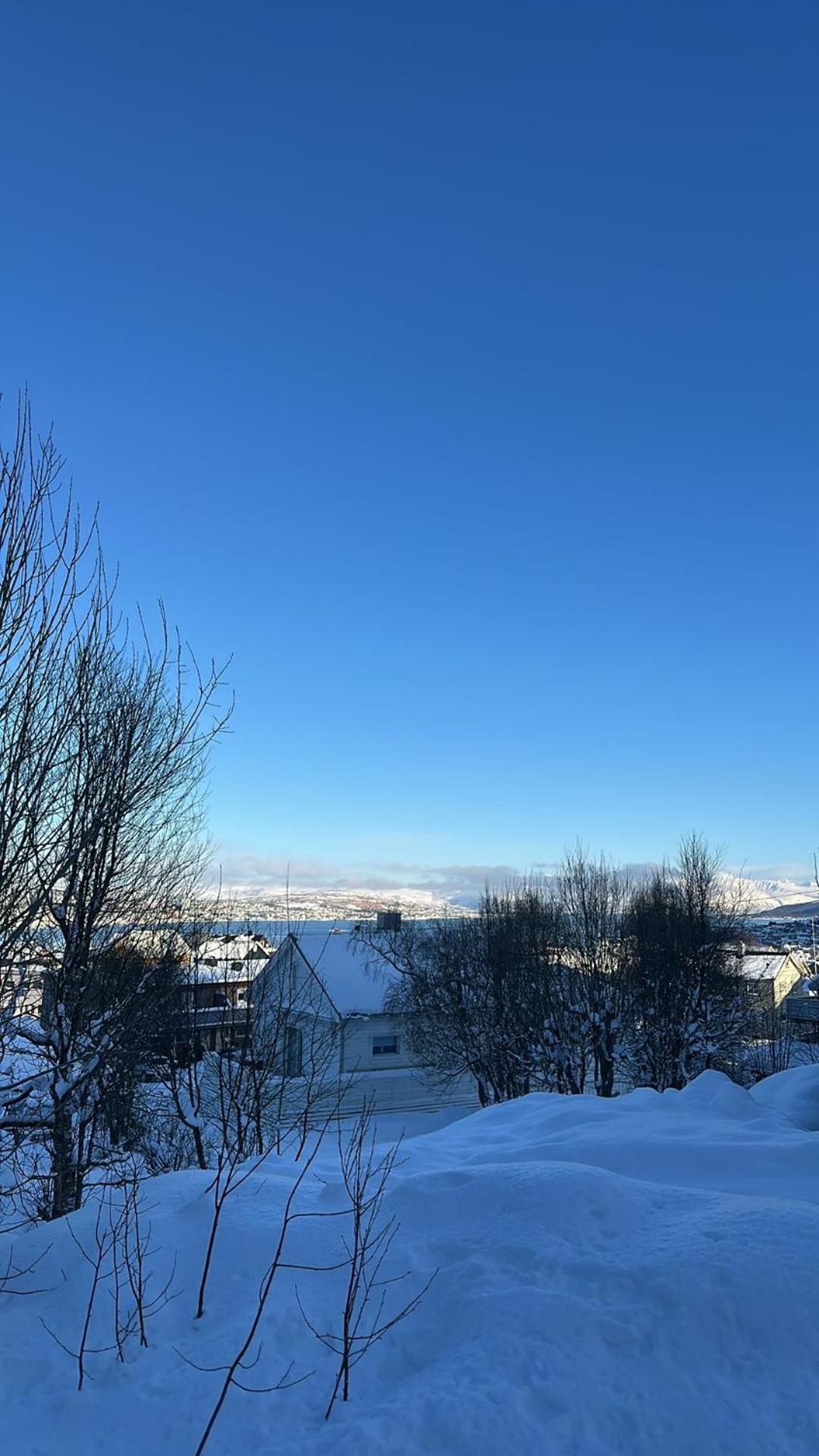 Rom Sentralt I Tromso Appartement Buitenkant foto